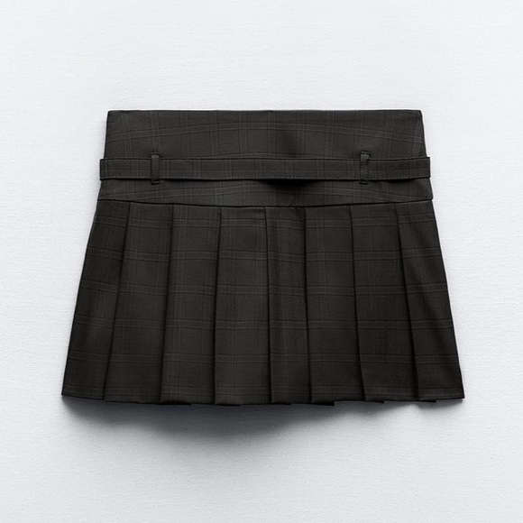 Zara Pleated Skirt - Picture 3 of 7